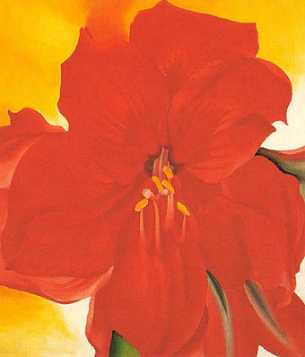 Red Amaryllis 1937 - Georgia O'Keeffe reproduction oil painting
