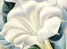 White Trumpet Flower 1932 - Georgia O'Keeffe