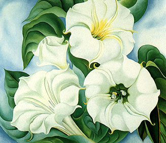 Jimson Weed 1936 - Georgia O'Keeffe reproduction oil painting