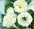 Jimson Weed 1936 - Georgia O'Keeffe reproduction oil painting