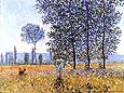Sunlight Under the Poplars - Claude Monet reproduction oil painting
