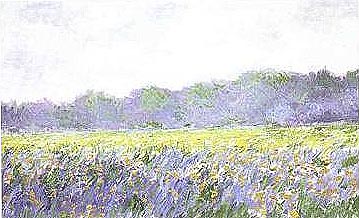 Champ d'iris Jaunes a Giverny - Claude Monet reproduction oil painting