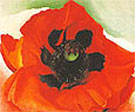 Poppy 1927 - Georgia O'Keeffe reproduction oil painting