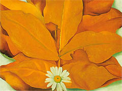 Yellow Hickory Leaves with Daisy 1928 - Georgia O'Keeffe reproduction oil painting