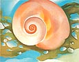 Pink Shell with Seaweed c1937 - Georgia O'Keeffe reproduction oil painting