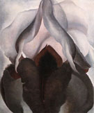 Black Iris - Georgia O'Keeffe reproduction oil painting
