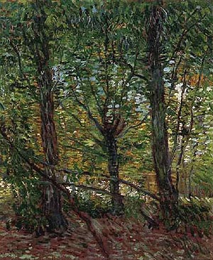 Trees and Undergrowth - Vincent van Gogh reproduction oil painting