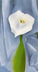 Cala Lily on Grey - Georgia O'Keeffe reproduction oil painting