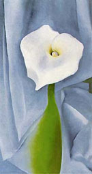 Cala Lily on Grey - Georgia O'Keeffe