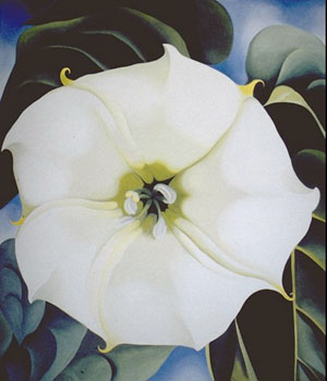 Single Jimson Weed 1932 - Georgia O'Keeffe reproduction oil painting