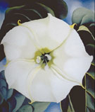 Single Jimson Weed 1932 - Georgia O'Keeffe