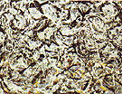 Arc-en-ciels gris - Jackson Pollock reproduction oil painting