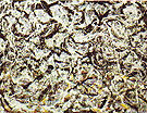 Arc-en-ciels gris - Jackson Pollock