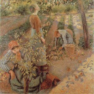 Apple Picking 1886 - Camille Pissarro reproduction oil painting