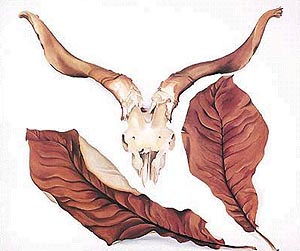 Ram's Skull with Brown Leaves - Georgia O'Keeffe reproduction oil painting