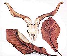 Ram's Skull with Brown Leaves - Georgia O'Keeffe