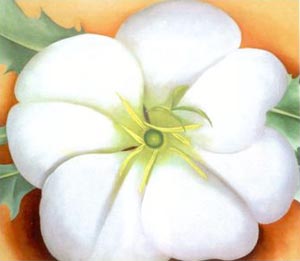 White Flower with Red Earth - Georgia O'Keeffe reproduction oil painting