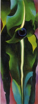 Corn Dark I 1924 - Georgia O'Keeffe reproduction oil painting
