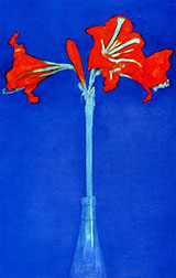 Amaryllis 1910 - Piet Mondrian reproduction oil painting