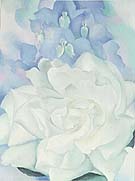 White Rose with Larkspur 1927 - Georgia O'Keeffe reproduction oil painting