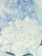 White Rose with Larkspur 1927 - Georgia O'Keeffe