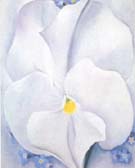 White Pansy 1927 - Georgia O'Keeffe reproduction oil painting
