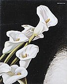 Arums (Study) Circa, 1938 - Tamara de Lempicka reproduction oil painting