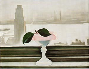 Pink Dish and Green Leaves 1928 - Georgia O'Keeffe reproduction oil painting