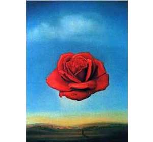 The Rose - Salvador Dali reproduction oil painting