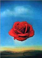 The Rose - Salvador Dali reproduction oil painting