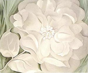 White Calico Flower 1931 - Georgia O'Keeffe reproduction oil painting