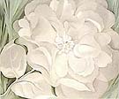 White Calico Flower 1931 - Georgia O'Keeffe