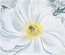 White Flower - Georgia O'Keeffe reproduction oil painting