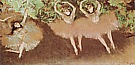 Ballet Scene, about 1878-80 - Edgar Degas reproduction oil painting