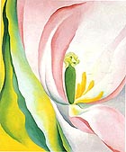 Pink Tulip 1926 - Georgia O'Keeffe reproduction oil painting