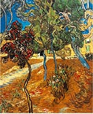 Trees in the Asylum Garden 1889 - Vincent van Gogh reproduction oil painting