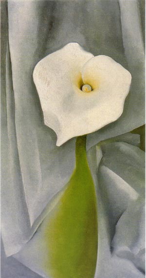 Calla Lily on Grey 1928 - Georgia O'Keeffe reproduction oil painting