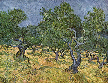 The Olive Orchard 1889 - Vincent van Gogh reproduction oil painting