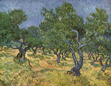 The Olive Orchard 1889 - Vincent van Gogh