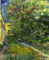 The Garden of the Asylum St Remy 1889 - Vincent van Gogh reproduction oil painting