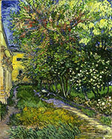 The Garden of the Asylum St Remy 1889 - Vincent van Gogh