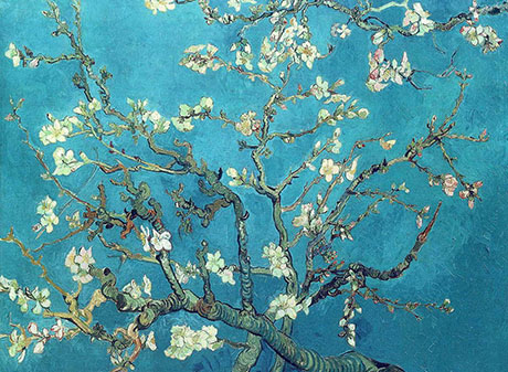 Branches with Almond Blossom 1890 - Vincent van Gogh reproduction oil painting