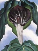 Jack in the Pulpit 3 - Georgia O'Keeffe