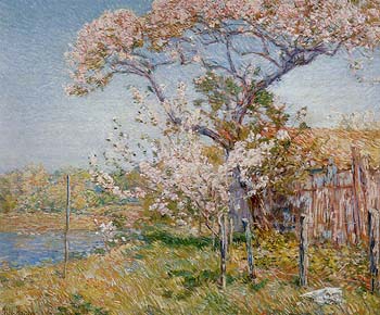 Apple Trees in Bloom Old Lyme 1904 - Childe Hassam reproduction oil painting