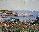 Poppies Isles of Shoals 1891 - Childe Hassam reproduction oil painting