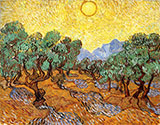 Olive Trees with Yellow Sky and Sun 1889 - Vincent van Gogh reproduction oil painting