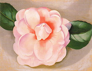 Pink Camellia 1935 - Georgia O'Keeffe reproduction oil painting