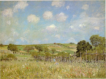 Meadow 1875 - Alfred Sisley reproduction oil painting
