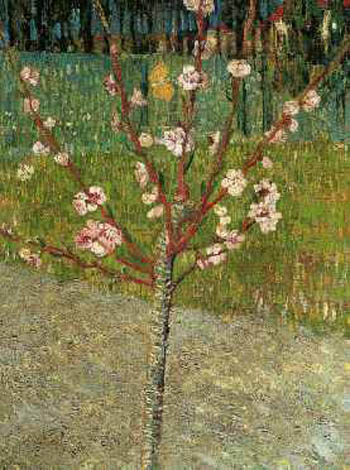 Almond Tree in Blossom 1888 - Vincent van Gogh reproduction oil painting