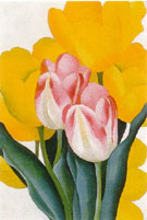 Pink and Yellow Tulips 1925 - Georgia O'Keeffe reproduction oil painting